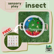 All about insect sensory play | Montessori sensory bin