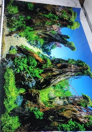 Background Aquarium Tinggi 50 cm Murah Panjang 100 Cm Gambar