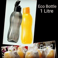 Eco Bottle 1.0 Liter