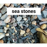 1kg sea stones/aquarium decoration/garden decoration