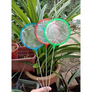 Sauk jaring bebas kutu air ikan gupi,molly,ikan laga jaring ikan sauk ikan ikan kecik udang