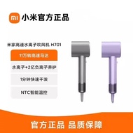 Xiaomi MiJia Hair Dryer High-Speed Water Ion Hair Dryer H701 For Home Large Wind Power Quick-Drying