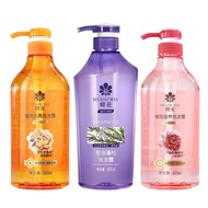 Bee Shampoo Oil Control Fluffy Plant Anti-Dandruff Rose Nourishing Repair Fragrance Large Bottle Sha