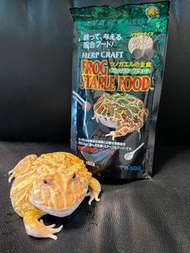 Sudo frog staple food 角蛙 霸皇角蛙 鐘角蛙 蝴蝶蛙 祕魯角蛙 爬蟲 日本蛙糧 粉糧 150g