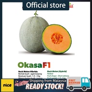 Premium Seed- 10 Biji Benih Rock Melon Golden Melon Pelbagai Variasi