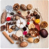 Pine Cone Decoration Pine Cone Dried Acorn Flower Handmade diy Forest Kindergarten Pine Cone Decorat