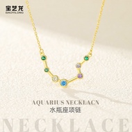Twelve Constellation Necklace Female S925 Sterling Silver Aquarius Zircon Pendant Niche Design Fashi