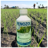 [ORIGINAL] 1L FENOZOL IMASPRO RACUN KULAT HAWAR FUNGICIDE pada daun (sama score) (difenoconaze 25%)