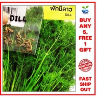 30++ biji benih DILL herbs seeds Herba ADAS