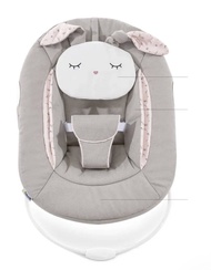 เก้าอี้ Alpha Bouncer 2in1