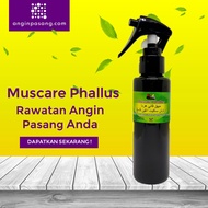 Penawar Angin Pasang Hernia Uluran Muscare Phallus
