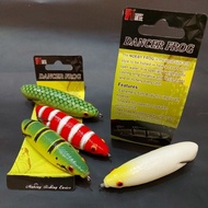 NOEBY DANCER FROG   9CM 14G SOFT PLASTIC