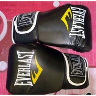 Everlast Boxing Gloves