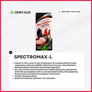 ◪ ♞ ❤ L-Spec Injectable [EXCELLENCE] - RMM HUB (1PC) VR NO. 1228