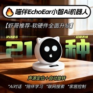 Ai Dialogue Toy Lexin Meow Companion EchoEar Desktop Smart Chatbot Bean Bag Voice Xiao San Shi