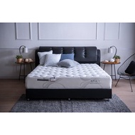 LUCKY MATTRESS ที่นอนพ๊อคเก็ตสปริง The Intelligent Pocket Spring  รุ่น  EMILY 5 ฟุต