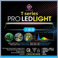 多彩雲水族⛅台灣UP雅柏《T系列 全白光 LED跨燈 / 1尺》(30~36cm) 高亮度、超薄型 節能、省電