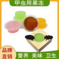 Beetle Jelly Unicorn Jelly Adult Pocket Worm Long Halberd Larvae Ant Protein Big Flat Shovel Beetle 