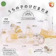 【現貨•日本正版】貓毛收納 bright link 貓毛收納盒 貓毛罐 貓毛存放盒 貓毛掛飾 貓毛 暹羅貓 三色貓 挪威森林貓 虎斑貓 橘貓  貓扭蛋 貓貓扭蛋 貓咪扭蛋 動物扭蛋 扭蛋 日本扭蛋 日