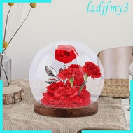 [Lzdjlmy3] Glass Cloche Valentines Day Cloche Ball Jar Dome