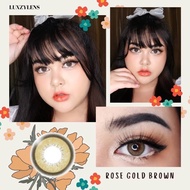 คอนแทคเลนส์🌈Rose Gold🌈 Brown / Gray (Luxzylens) ขนาดกลาง💖