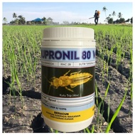[ORIGINAL] 250G NUPRONIL 80WG RACUN SERANGGA ANAI ANAI SAMA REGENT 80WG / fipronil / APRONIL 80WG / 