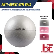 ANTI-BURST GYM BALL WITH PUMP (Grey/Pink/Red)