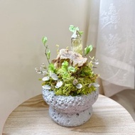 巴西 黃水晶柱_春之交響曲。黃水晶 永生葉材綠植栽