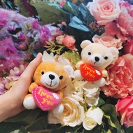 SHIOK 4 Inch Hugging Heart (I Love You) Bear Keychain | Gantungan Kunci Beruang Peluk Hati 4 Inci B0