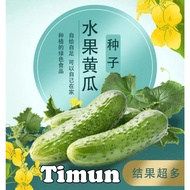 Benih Buah Timun Family(20 Seeds) / **搭架 / 无架** 各种水果黄瓜籽 /Fruit Cucumber Seeds