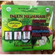 DAUN MUJARAB | Asam Urat Pengapuran | DAUN DEWA plus [ Isi : 15 sachet @ 7 gram ]