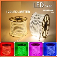 220V 5730 HOSE LIGHTS 5730 LED HOSE STRIP/S DECORATION LED LIGHT/S INDOOR OUTDOOR LIGHT/S