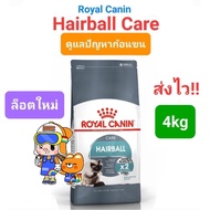 Royal Canin Hairball Care 4kg 4 Kg Removes Hairballs See Results Within 14 Days.