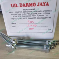 Sekrup Asbes Gelombang Besar / SDS / Drilling Screw 12 x 100 / 10cm