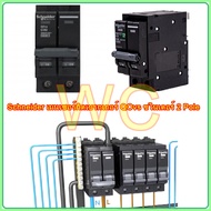 Schneider เบรเกอร์ตู้ไฟ 2P เมนตู้ไฟคอนซูเมอร์ 2P 40A 50A 63A Main Breaker เมน 32A 50A 60A ตู้ชไนเดอร