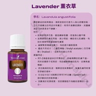 Young Living Lavender 薰衣草精油
