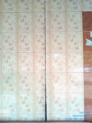 Joran Besutan Carbon Hollow 150