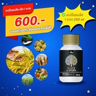 โฟร์ทรี 4Tree อะมิโนพืช Amino Black อะมิโนแบล็ค (250 ml) จุลินทรีย์เพื่อการเกษตร สร้างแป้งเพิ่มน้ำหน
