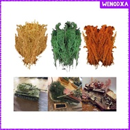 [Wenodxa] Model Trees Miniature Trees Sand Table Hobby Train Scenery Material Resin Architecture Tre