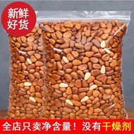New Product Northeast Pine Nuts Large Particles Bagged Net Weight Open Pine Nuts Changbai Mountain R