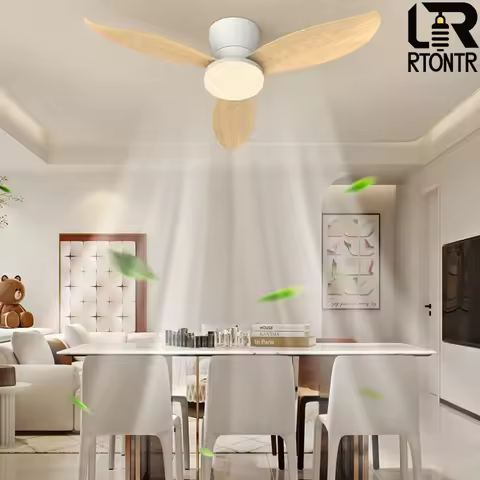 Modern Low Profile BLDC Ceiling Fan with Remote Control, Decorative Indoor Household Electric Ventil