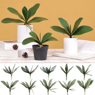 【shimeistore】Simulation Leaves Non-Wilting Fake Phalaenopsis Orchid Leaves Home Decor