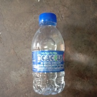 Baby Cactus Mineral Water 250ml