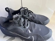 NIKE MEN'S AIR ZOOM PEGASUS 37 SHIELD