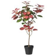 IKEA Artificial Plant In A Pot Smoke Tree 12 cm FEJKA