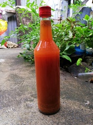 Original Spicy Sukang Pinapakurat! Spicy Sukang Niyog (TUBA) from Cebu in long neck glass bottle and