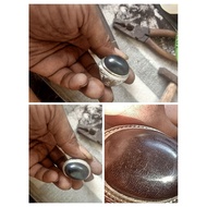 9 finger moringa (wood)