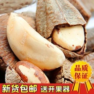 [Premium Selection] Desert Nuts Abalone Shelled Large-Grained Original Xinjiang Daily Gobi Salt Bake