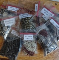 Vegetable Seeds Botanically Multiple Choices of Vegetable Seeds Pechay, Ampalaya, Patola, Sili Etc