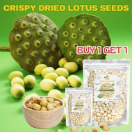 Roasted Lotus Seeds | Healthy Snack | High Fiber, Low Fat Dried Rotus Seed to eat